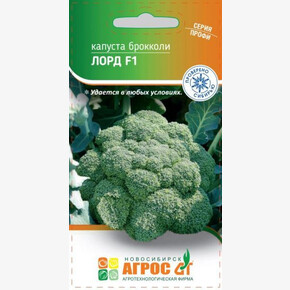 Капуста Лорд F1 15шт* Seminis, Чили, ср/р/ Агрос