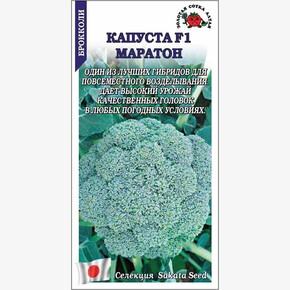 Капуста Маратон брокколи /Сотка/ 8 шт/ Sakata