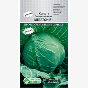 Капуста МЕГАТОН (10шт) Bejo Zaden/ Евросемена