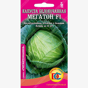капуста Мегатон F1 /10 шт Дем Сиб/ Bejo Zaden Голландия