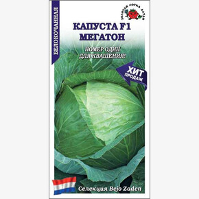 Капуста Мегатон/ Сотка