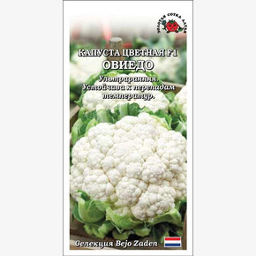 Капуста Овиедо F1 /Сотка/ 8 шт / ультраранн., 1-1,5кг