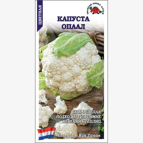 Капуста Опаал /Сотка/ 10шт/*1500