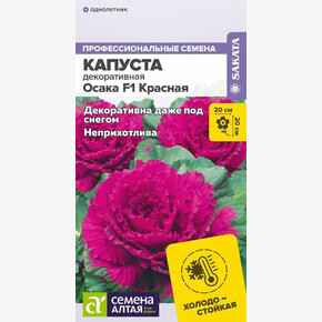 Капуста Осака F1 Красная /Сем Алт/цп 7 шт.