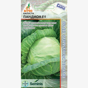 Капуста Пандион F1 15шт* Seminis, Чили, ран/ Агрос