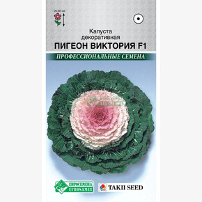 Капуста Пигеон Виктория F1/ Евросемена