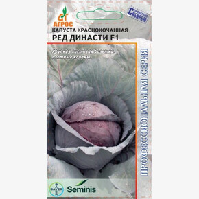Капуста Ред Династи F1 15шт* Seminis, Чили, сред/ Агрос