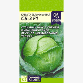 Капуста СБ-3 F1/Сем Алт/цп 0,1 гр.