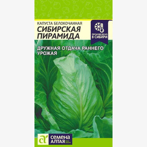Капуста Сибирская Пирамида/Семена Алтая/цп 0,3 гр.