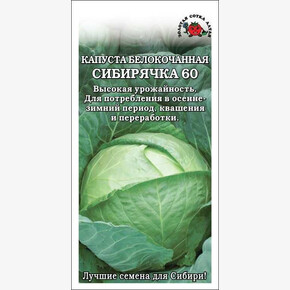Капуста Сибирячка/ Сотка