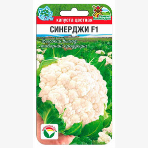 Капуста Синерджи F1 10шт Сиб Сад