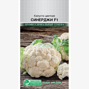 Капуста Синерджи F1/ Евросемена
