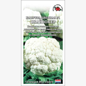 Капуста Скайвокер F1 /Сотка/ 5шт/ позднесп. 1,9-3,5кг Bejo/*1500