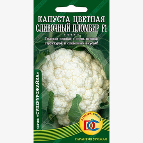 капуста Сливочный Пломбир /10 шт Дем Сиб/