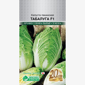 Капуста Табалуга F1/ Евросемена