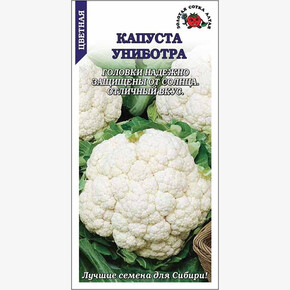 Капуста Униботра / Сотка/ 0,1г/*1200
