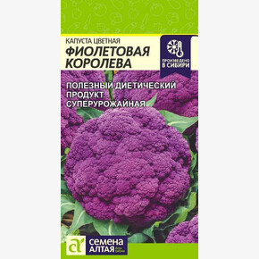 Капуста Фиолетовая Королева/Сем Алт/цп 0,1 гр.