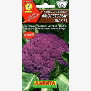 Капуста Фиолетовый шар 10шт/ Аэлита