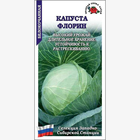 Капуста Флорин /Сотка/ 0,5г/ среднепозд. 2,3-4,5кг длит. хранение