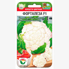 Капуста Форталеза F1 10шт Сиб Сад