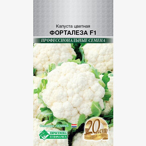Капуста Форталеза F1/ Евросемена