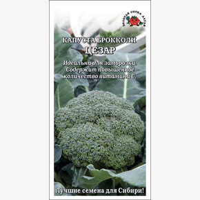 Капуста Цезар /Сотка/ 0,3г / среднеран. 350-450 г/*1200