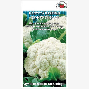 Капуста Эрфуртская /Сотка/ 0,3 г/*1200