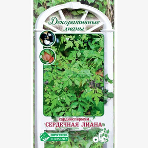 Кардиоспермум Сердечная Лиана/ Евросемена