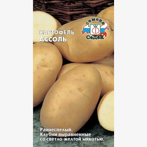 Картофель Ассоль/ Седек