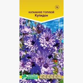 Катананхе голубой Купидон/ Евросемена