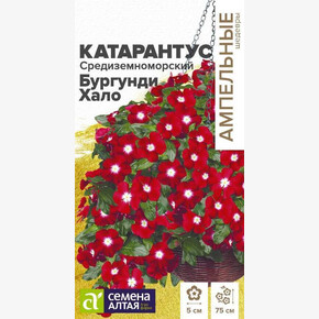 Катарантус Бургунди Хало/Семена Алтая/цп 5 шт.