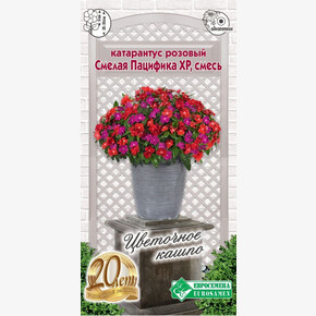 Катарантус розовый Винка Смелая Пацифика ХР, смесь/ Евросемена