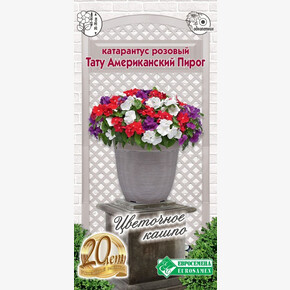 Катарантус Тату Американский Пирог 5шт/ Евросемена