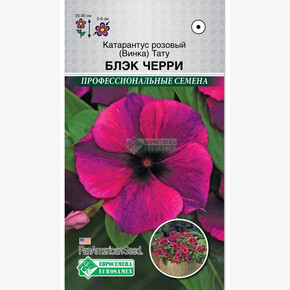 Катарантус Тату Блэк Черри/ Евросемена