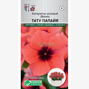 Катарантус Тату Папайя (5 шт) /PanAm Seeds/ Евросемена