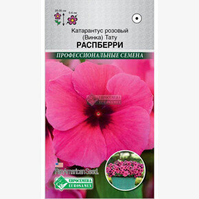 Катарантус Тату Распберри (5 шт) /PanAm Seeds/ Евросемена