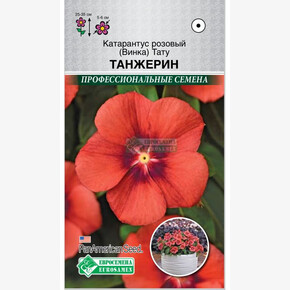 Катарантус Тату Танжерин/ Евросемена