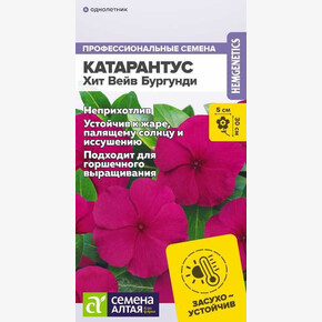 Катарантус Хит Вейв Бургунди/Сем Алт/цп 5 шт.
