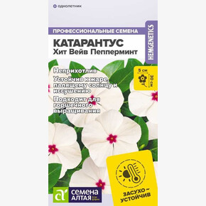 Катарантус Хит Вейв Пепперминт/Сем Алт/цп 5 шт.