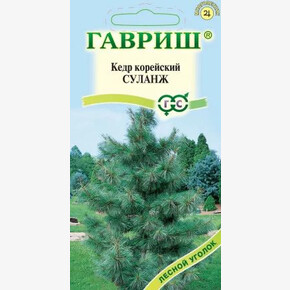 Кедр корейский Суланж/ Гавриш