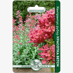 Кентрантус рубер Красотка Бетси/ Биотехника