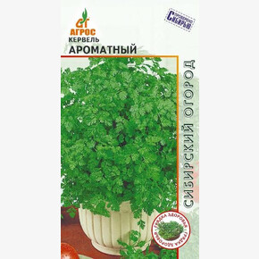 кервель Ароматный