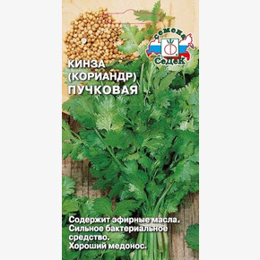 Кинза Пучковая/ Седек
