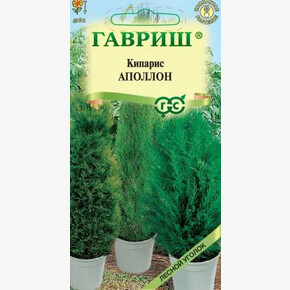 Кипарис Аполлон/ Гавриш