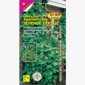 Кирказон Зеленое сердце/ Аэлита