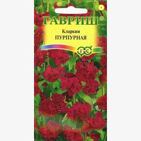 Кларкия Пурпурная изящная /Гавриш/