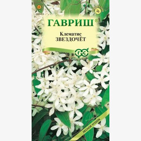 Клематис Звездочет короткохвостый /Гавриш/