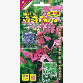 Клематис Райские птицы 0,02г/ Аэлита Экстра