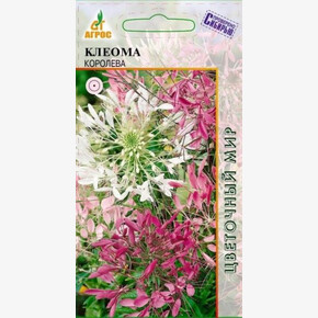 Клеома колючая Королева 0.2г*