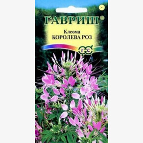 Клеома Королева роз/Гавриш/цп 0,3гр.